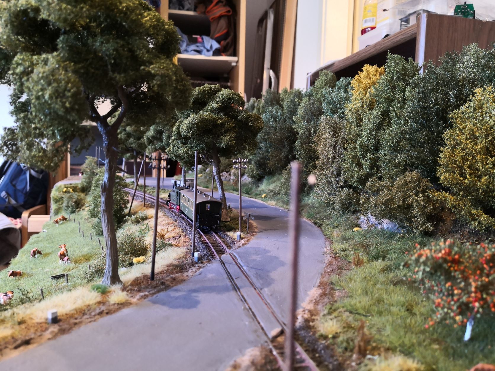 Modellbahn- Ausstellung im Clubheim  Holzheim bei Limburg